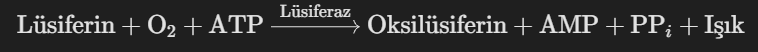 1783971719116.png