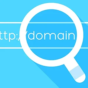 domain-sorgulama-nasıl-yapılır-arguntc.webp