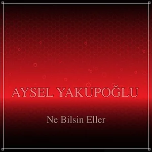 aysel-yakuopğlu-ne-bilsin-eller-sözleri-arguntc.webp