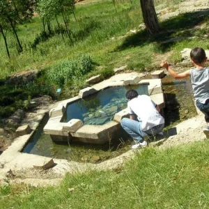 Rüyada Avlu Görmek.webp