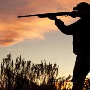 Rüyada Avlanmak.webp