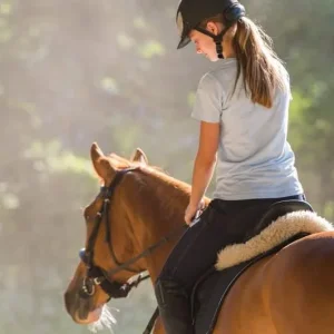 Rüyada Ata Bindiğini Görmek.webp