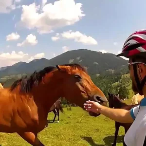 Rüyada At Isırması.webp