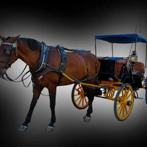 Rüyada At Arabasına Binmek.webp