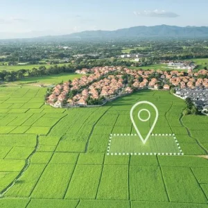 Rüyada Arsa Görmek.webp