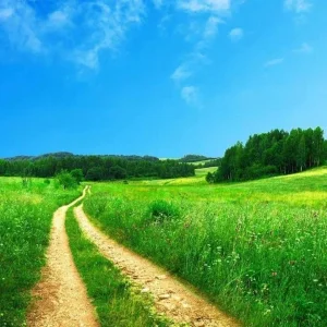 Rüyada Arsa Almak.webp