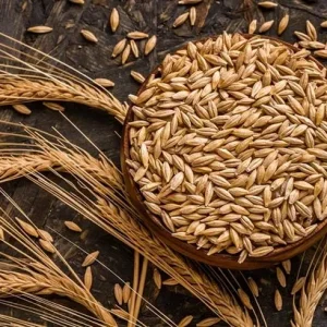 Rüyada Arpa Görmek.webp