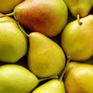 Rüyada Armut Görmek.webp