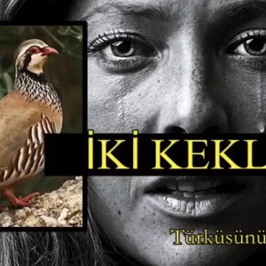 iki-keklik-türküsünün-hikayesi-arguntc.webp
