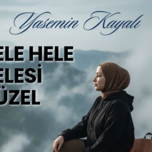 Ekran görüntüsü 2026-06-07 233813.png